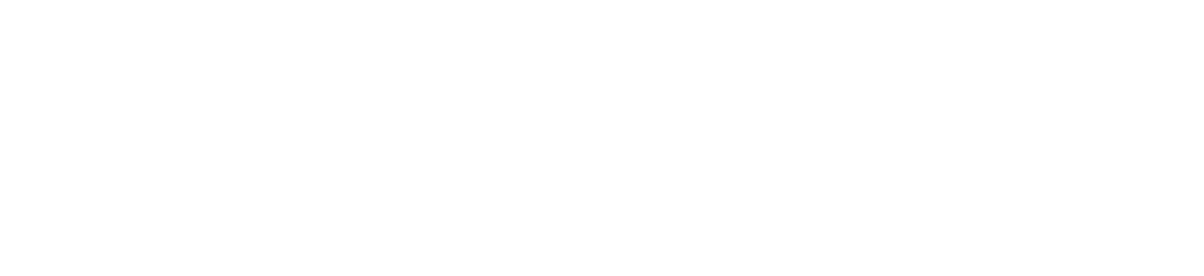 Fashion Training